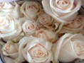 /album/fotogaleria/a20160630-171900-jpg/